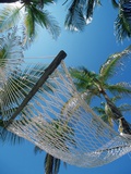 Hammock and Palm Tree, Great Barrier Reef, Northern Caye, Belize Lámina fotográfica por Ron Watts
