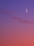 Evening Sky in Magenta with Crescent Moon - Background, Canada. Photographic Print by Chris Cheadle