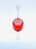 Red liquid in a glass flask Lámina fotográfica