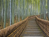 Bamboo Lined Path at Adashino Nembutsu-ji Temple Photographic Print by Rudy Sulgan