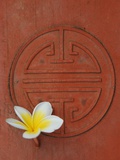 Long Life Symbol and Lotus Flower Photographic Print by Sebastien Desarmaux