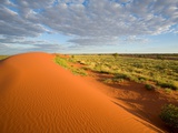 Sand dune, Cravens Peak Station, Australia Photographic Print by Nick Rains