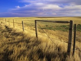 Fence Along Field, South West Saskatchewan, Canada Photographic Print by Mike Grandmaison