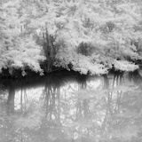 Spring Foliage Reflected on Lake by Chip Forelli Photographic Print by Chip Forelli