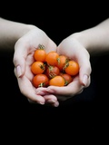 Handful of Tomatoes Photographic Print by Elisa Lazo De Valdez