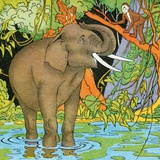 Elephant at watering hole Photographic Print