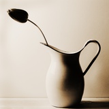 Dark Tulip in Old Enamel Water Pitcher Photographie par Tom Marks
