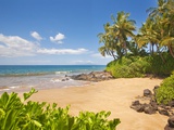 Secluded sandy beach on Maui Fotografie-Druck von Ron Dahlquist