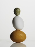 Quail and chicken eggs Photographic Print