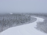 Dempster Highway in snow storm Photographie par Theo Allofs