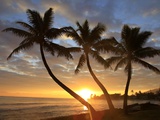 Sunrise, Windward Oahu, Hawaii Photographic Print by Douglas Peebles