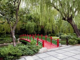 Footbridge over stream in garden Photographie par Sam Diephuis