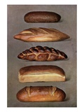 Illustration of five types of bread loaves Giclee Print