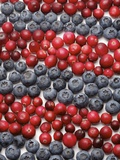 Cherries and blueberries, full frame Photographic Print