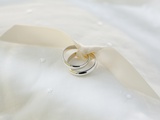 Two wedding rings tied with ribbon Photographic Print by Jamie Grill