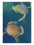 Two swimming crabs Giclee Print by William H. Crowder