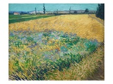 Wheatfield Giclee Print by Vincent van Gogh