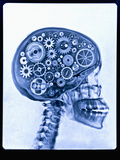 Thom Lang - X-ray of skull with gears Fotografická reprodukce