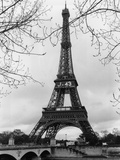 Torre Eiffel Lámina fotográfica por Manuela Höfer Torre Eiffel Lámina fotográfica por Manuela Höfer