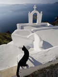 View of a Cat on a Wall in the Village of Oia perched on steep Cliffs overlooking the submerged Cal Fotografiskt tryck av Ron Watts View of a Cat on a Wall in the Village of Oia perched on steep Cliffs overlooking the submerged Cal Fotografiskt tryck av Ron Watts