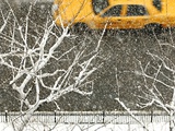 Yellow cab on Park Avenue in a snowstorm Photographic Print by Bo Zaunders