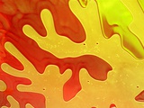 Shampoo taking on a coral-like form Photographic Print by Steve Klics