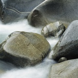 Westland National Park, South Island, New Zealand Photographic Print by Micha Pawlitzki