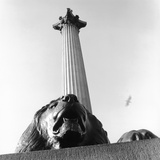 Nelson's Column with Lion Sculpture Photographic Print by Manuela Höfer
