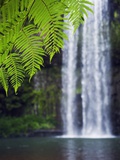 Millaa Millaa falls on Atherton Tablelands Photographic Print