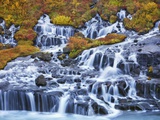 Waterfall Hraunfossar Photographic Print by Frank Krahmer