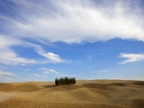 Orcia valley in autumn Photographic Print by Fabio Muzzi
