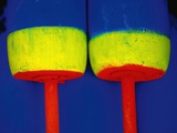 Brightly colored buoys Lámina fotográfica por Alison Shaw