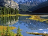 Mount Kitchener Reflected in Pond Near the Beauty Creek Hostel, Jasper National Park, Alberta, Cana Photographic Print by Darwin Wiggett