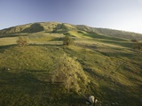 Tejon Ranch in California Photographic Print by Macduff Everton