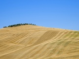 Italy, Tuscany, Harvested corn field, bales of straw in background Photographic Print by Fotofeeling 