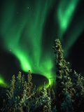 Aurora Borealis or Northern Lights, Yukon. Photographic Print by Robert Postma