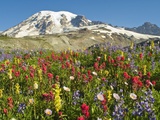Wildflowers in Mount Rainier National Park Lámina fotográfica Wildflowers in Mount Rainier National Park Lámina fotográfica