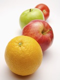 Four fruits in a row Photographic Print