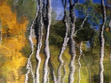 Autumn Reflections in Kilbear Provincial Park, Ontario, Canada Photographie par Don Johnston