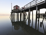 Fishing pier at low tide in a calm bay Photographic Print by Dermot Conlan