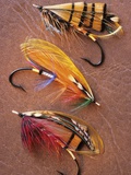Flyfishing: Full Dressed Atlantic Salmon Flies, Canada. Photographic Print by Keith Douglas