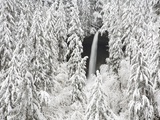 North Falls surrounded by snow-covered trees Photographic Print by Craig Tuttle