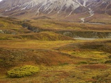 Fall colors on the tundra in Denali National Park Photographic Print by John Eastcott & Yva Momatiuk
