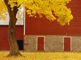 Autumn Tree by Red Barn Photographic Print by Bob Krist