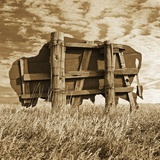 Abandoned Buffalo Sign Photographic Print by Tom Marks