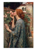 The Soul of the Rose Reproduction procédé giclée par John William Waterhouse