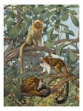 Painting of marmosets in the jungle canopy Lámina giclée por National Geographic Society Painting of marmosets in the jungle canopy Lámina giclée por National Geographic Society