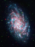 Triangulum Galaxy Photographic Print