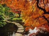 Autumn Colors in Butchart Gardens, Victoria, Vancouver Island, British Columbia, Canada Photographic Print by Barrett & MacKay 