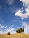 Tuscan landscape, hay bale, cypress tree Photographic Print